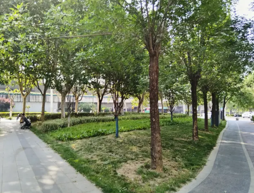 想让初高中孩子能自驱主动学习，父母应该怎么做